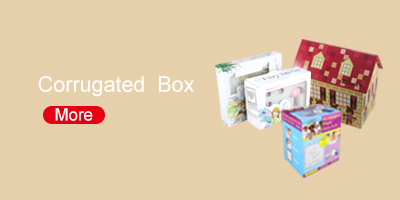 Corrugated Box/PVC box